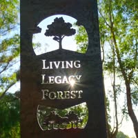 Wellington Dam Living Legacy Forest